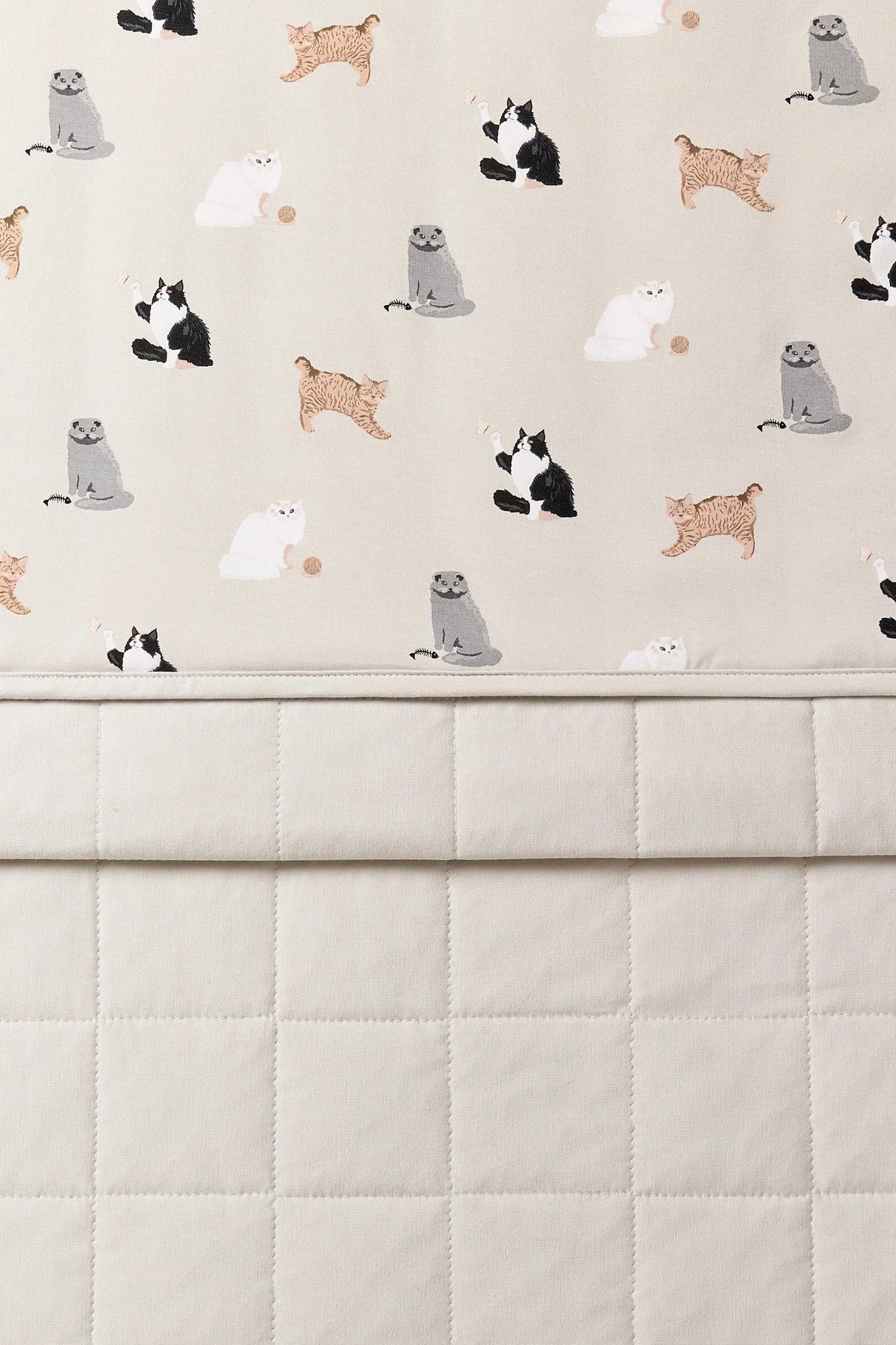 Youth Blanket in Fluffy Cat 1.0